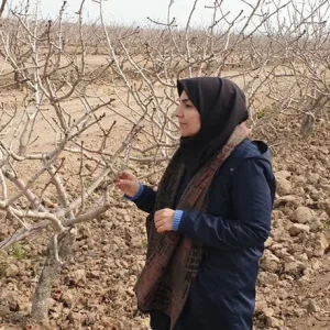 بازدید از باغات پسته روستای فخره